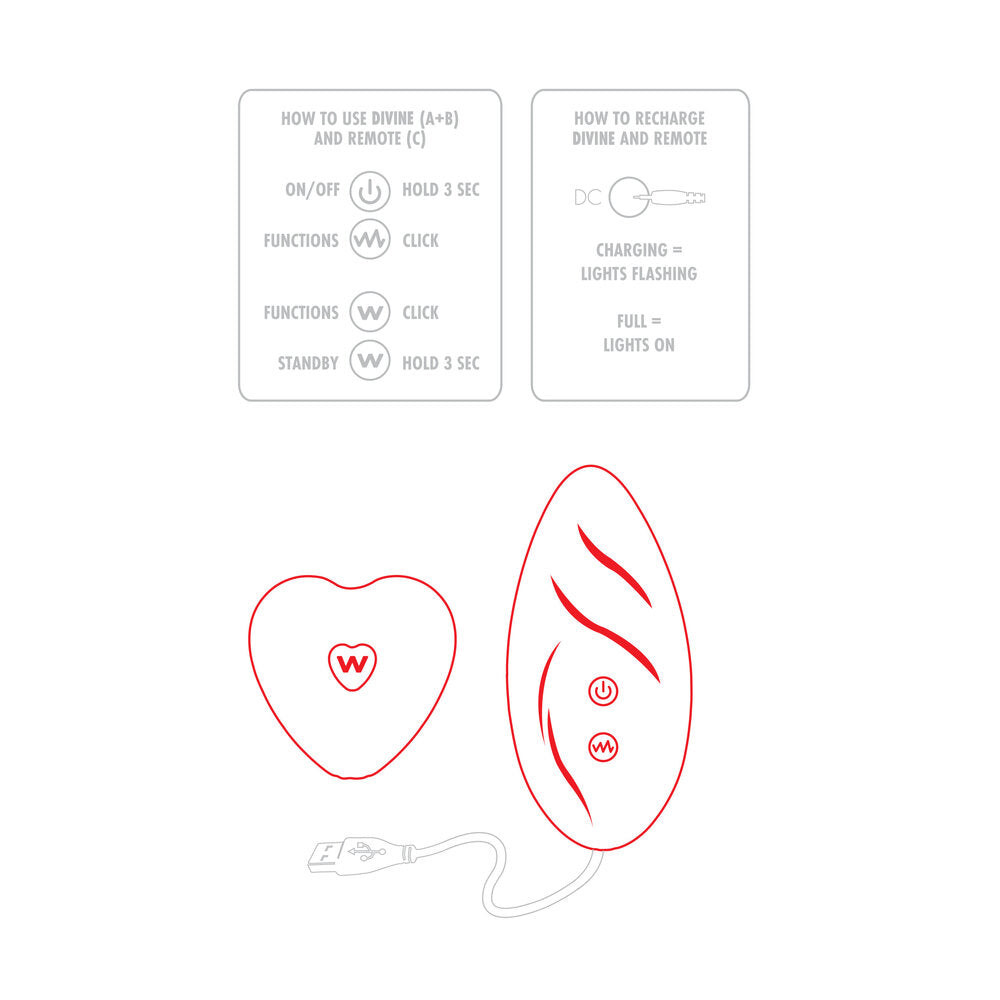 ToyJoy Divine Panty Pleaser – Remote-Controlled Panty Vibrator Set