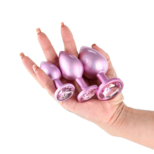 Rear Assets Trainer Kit – Metallic Butt Plug Set of 3 Sizes