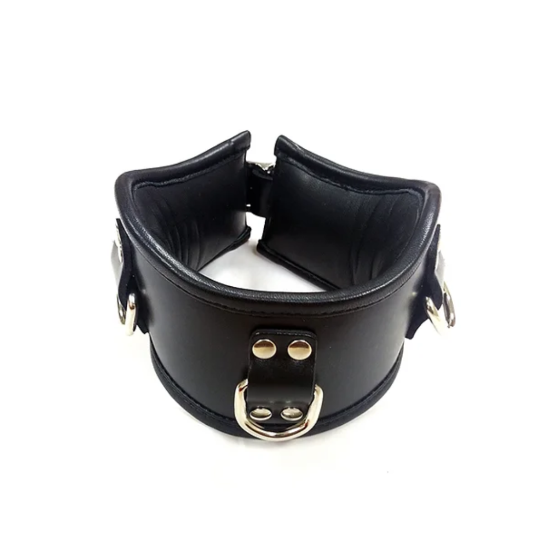 Rouge Leather Posture Collar (Black) – Padded Collar with D-Rings
