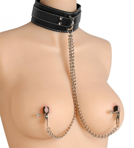 Coveted Collar and Clamp Union Set