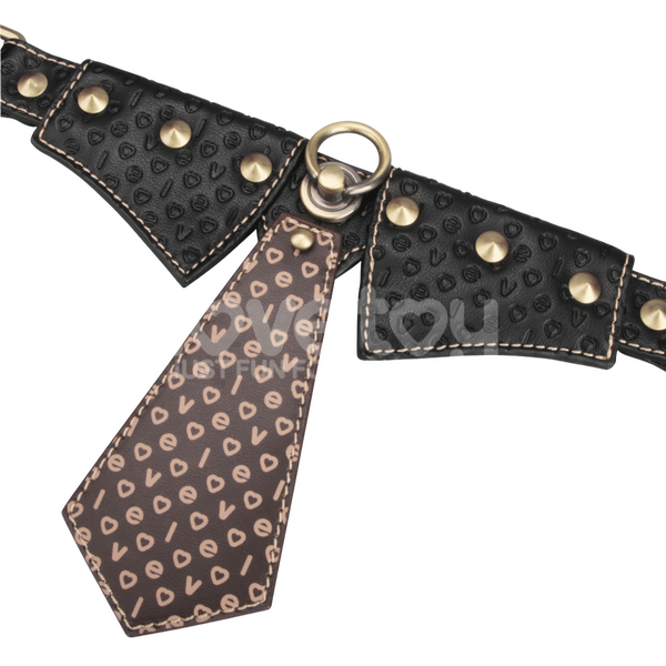 Rebellion Reign Collar with Leash – Luxury PU Leather Bondage Accessory