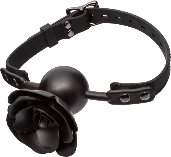 Forbidden Removable Rose Gag – Adjustable Breathable Fetish Accessory