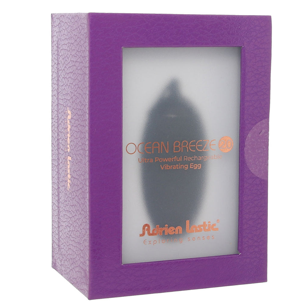 Ocean Breeze 2.0 Remote Egg Vibe in Black Vibrators > Bullet and Egg Vibrators