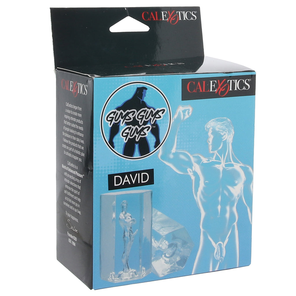 Guys Guys Guys David Stroker Male Masturbators > Pocket Strokers