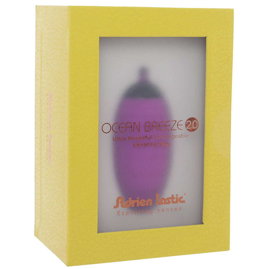 Ocean Breeze 2.0 Remote Egg Vibe in Purple Vibrators > Bullet and Egg Vibrators