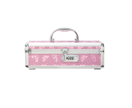The Toy Chest Small Pink Lockable Case 12 x 4 x 4 Inches