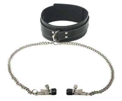Coveted Collar and Clamp Union Set