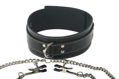 Coveted Collar and Clamp Union Set