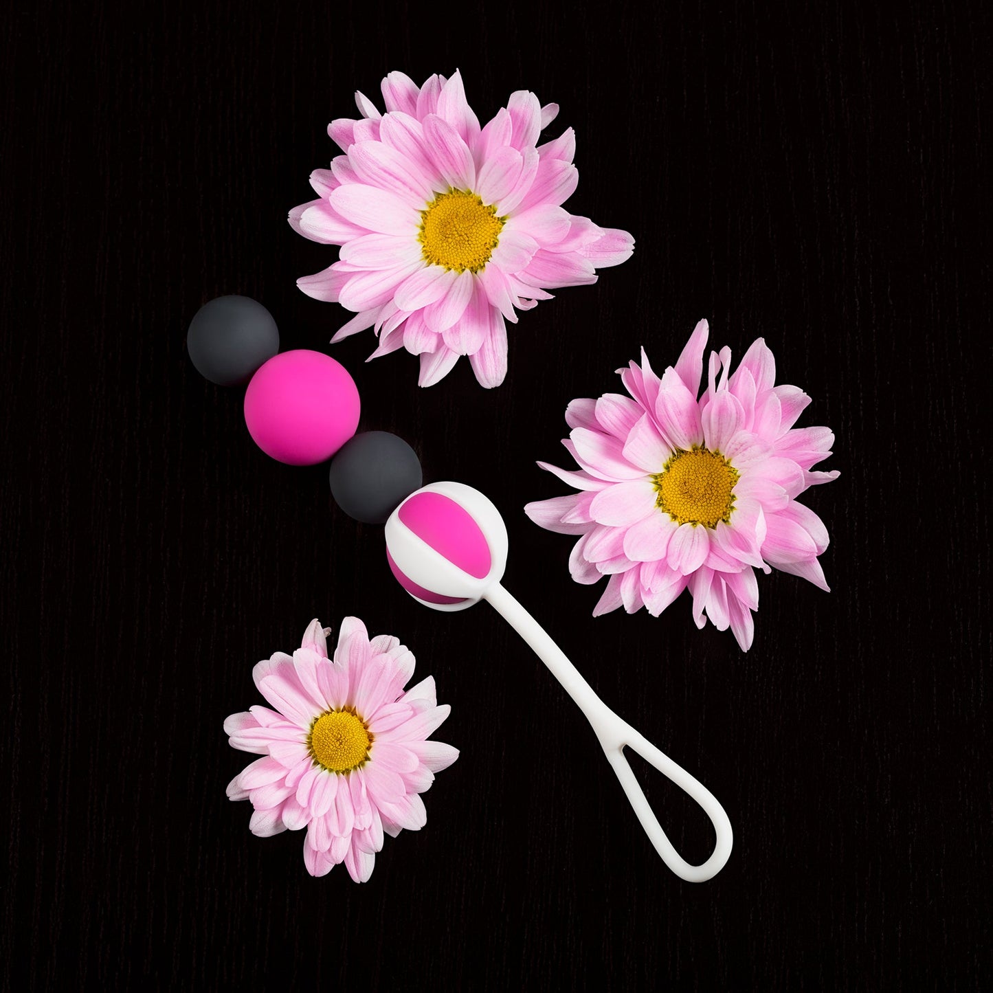 Geisha Balls Magnetic Set of 4 Sizes 15g to 27g