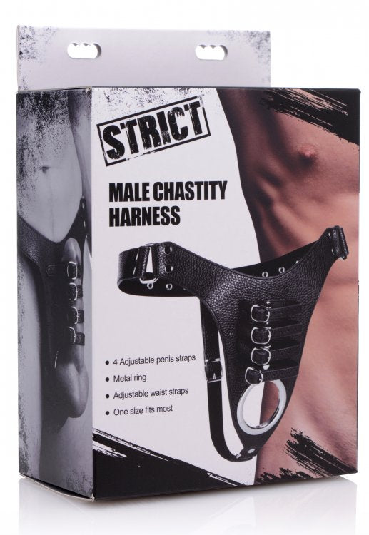 Male Chastity Harness for BDSM Control and Pleasure