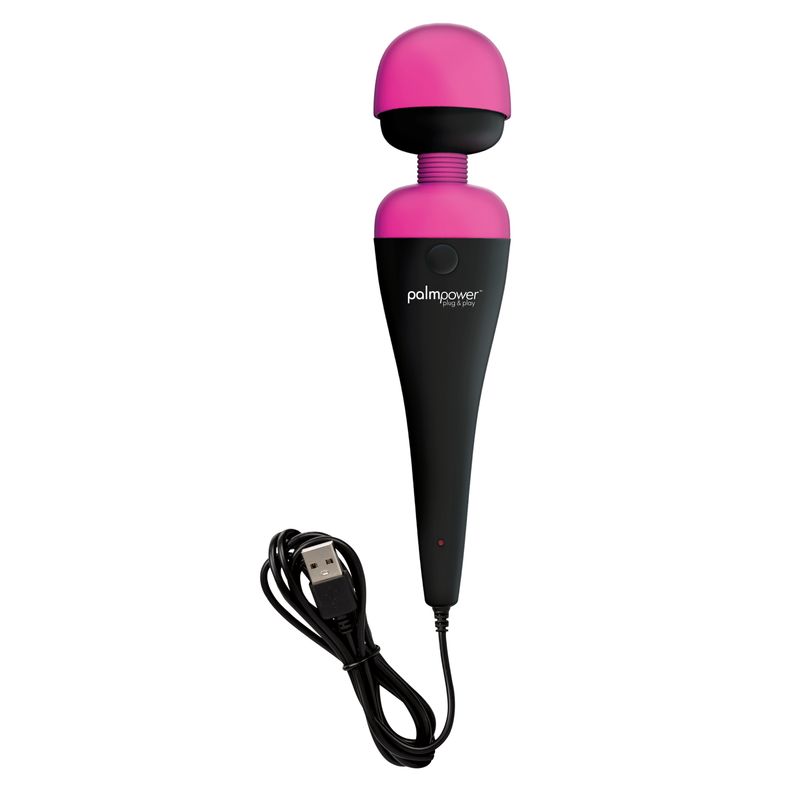 PalmPower Massage Wand Plug and Play with Power Bank