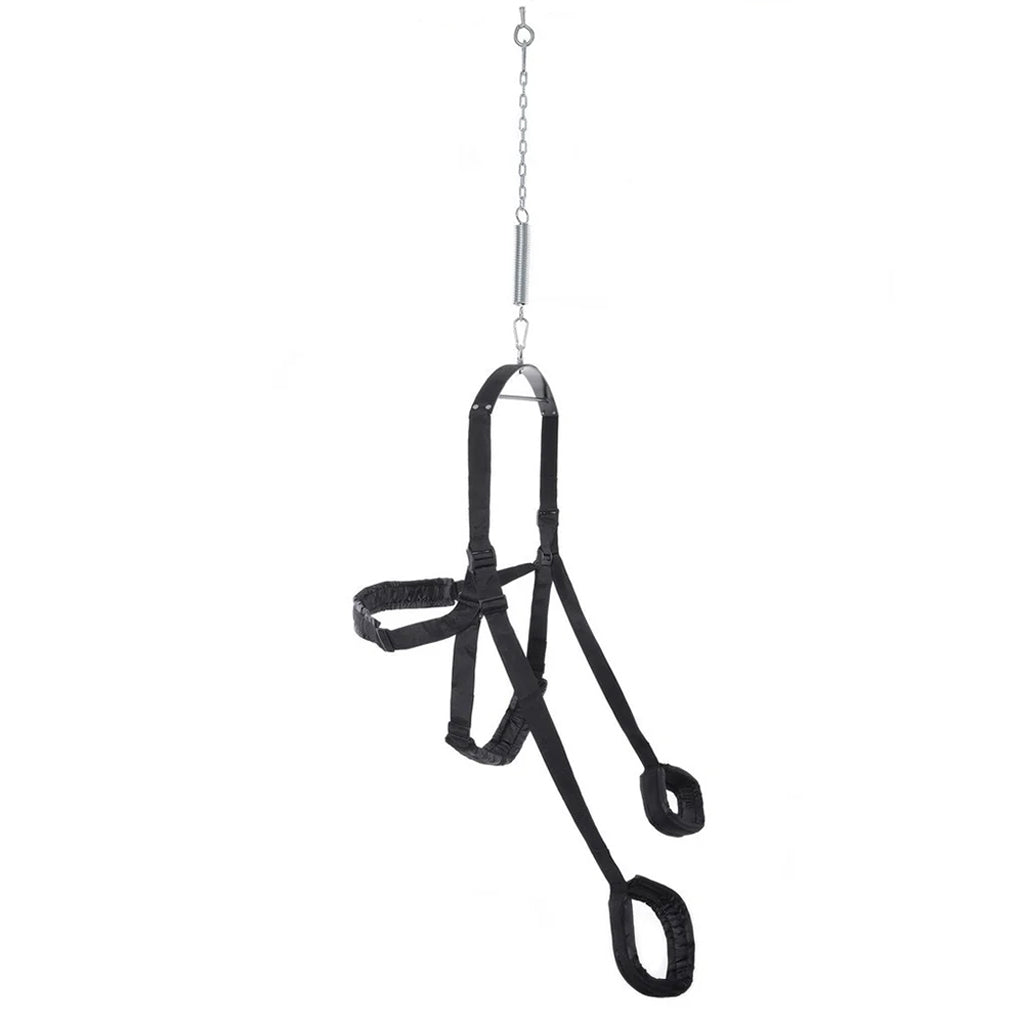 Fetish Fantasy Swing in Black Bondage and Fetish > Sex Swings and Suspension