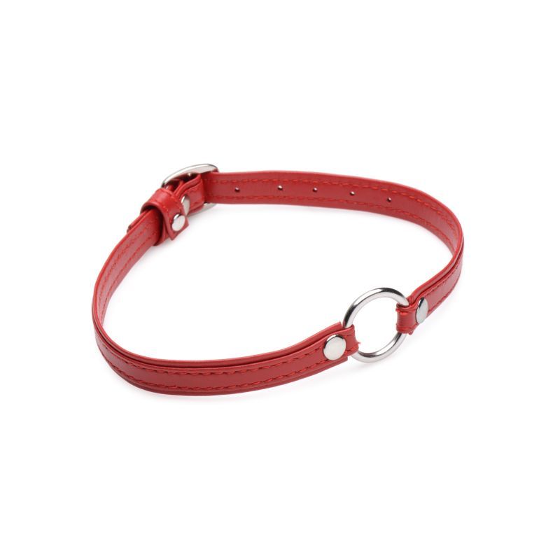 Fiery Pet Leather Choker with Silver Ring in Red