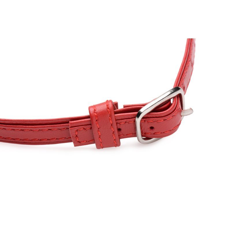 Fiery Pet Leather Choker with Silver Ring in Red