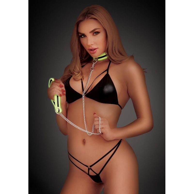 Whip Smart Glow In The Dark Deluxe Collar and Leash Set