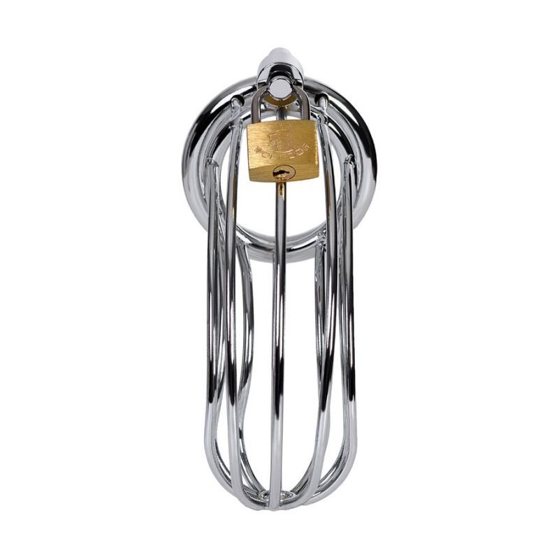 Silver Metal Birdcage Cock Cage Chastity Device