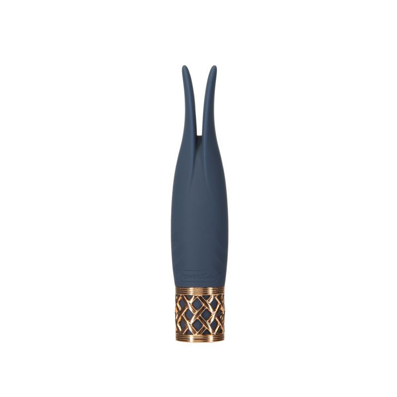 Pillow Talk Secrets Playful Massager with Incremental Speeds