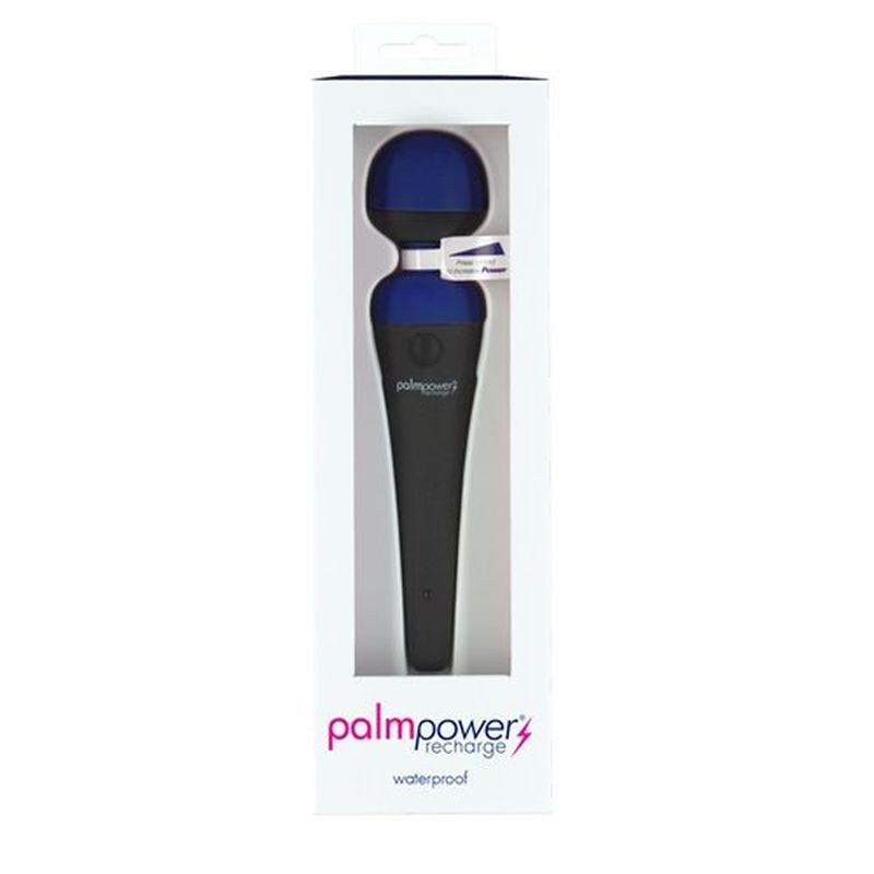 PalmPower Massage Wand Blue - Powerful Vibrator