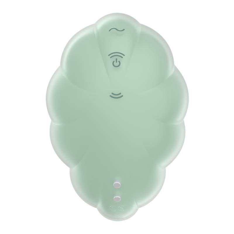 Satisfyer Cloud Dancer Mint Vibrator Compact Size
