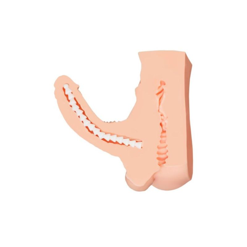 Juicy Long Schlong Manuel – Penis, Anal, and Balls Torso with 19cm Insertable Penis