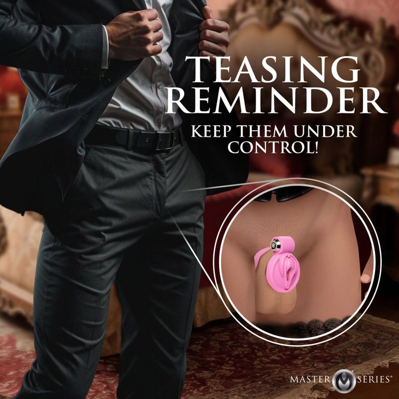 Master Series Pussification Vulva Chasity Cage
