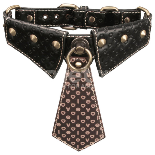 Rebellion Reign Collar with Leash – Luxury PU Leather Bondage Accessory