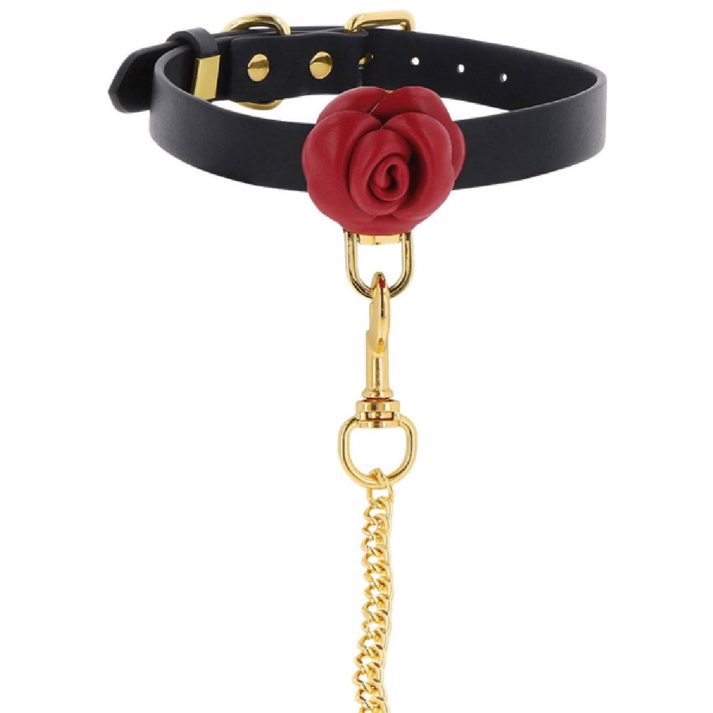Taboom Wild Roses Collar and Leash – Faux Leather BDSM Accessories