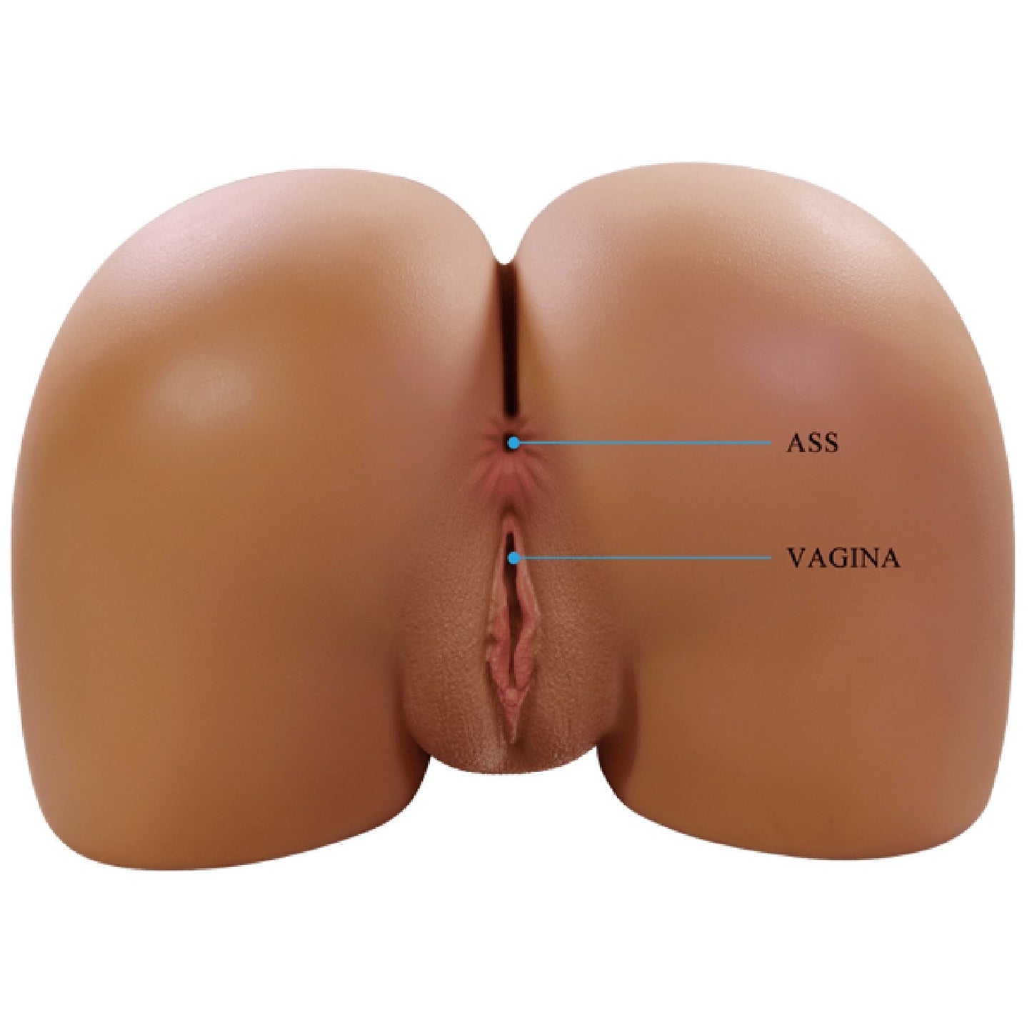Wendy Vagina and Anal Masturbator – Realistic 3D Petite Pelvis Masturbator