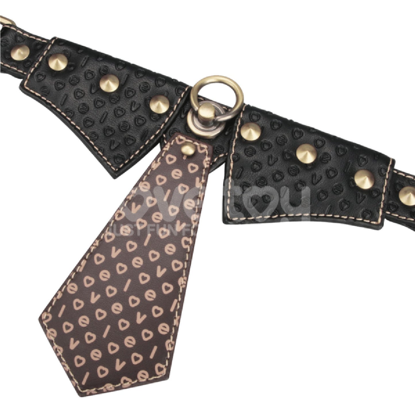 Rebellion Reign Collar with Leash – Luxury PU Leather Bondage Accessory