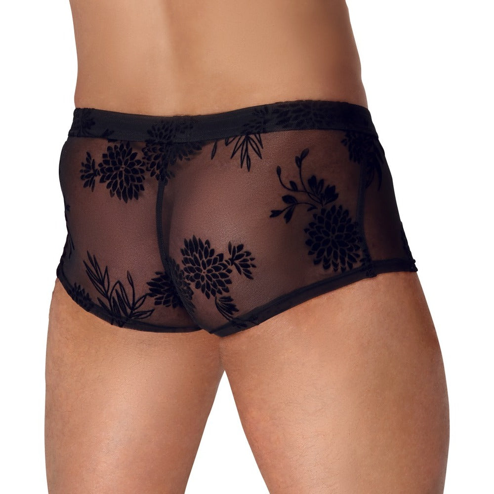 Noir Sheer Floral Lace Pants – Transparent Stretch Lingerie Pants