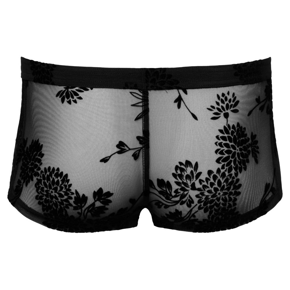 Noir Sheer Floral Lace Pants – Transparent Stretch Lingerie Pants