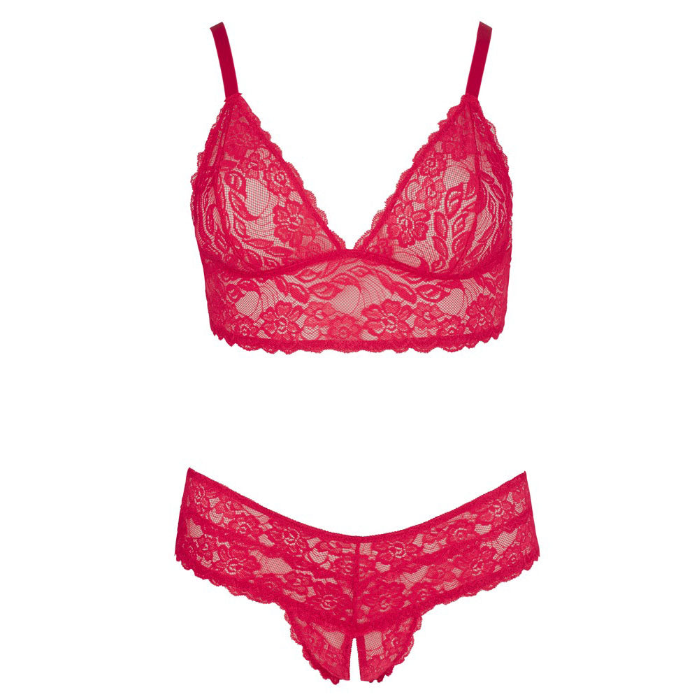 Cottelli Plus Size Lace Bra and Crotchless Briefs – Wireless Lingerie Set