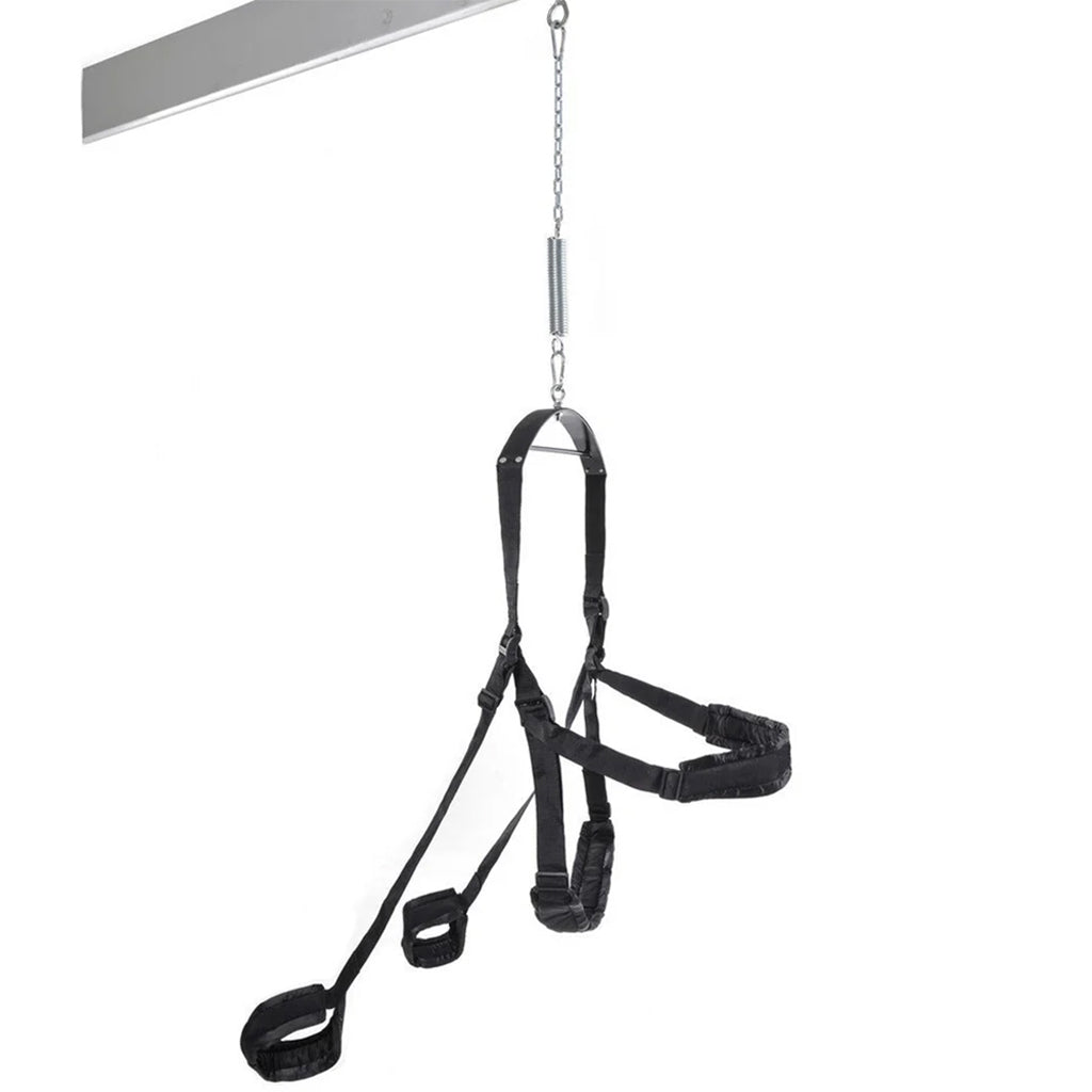 Fetish Fantasy Swing in Black Bondage and Fetish > Sex Swings and Suspension