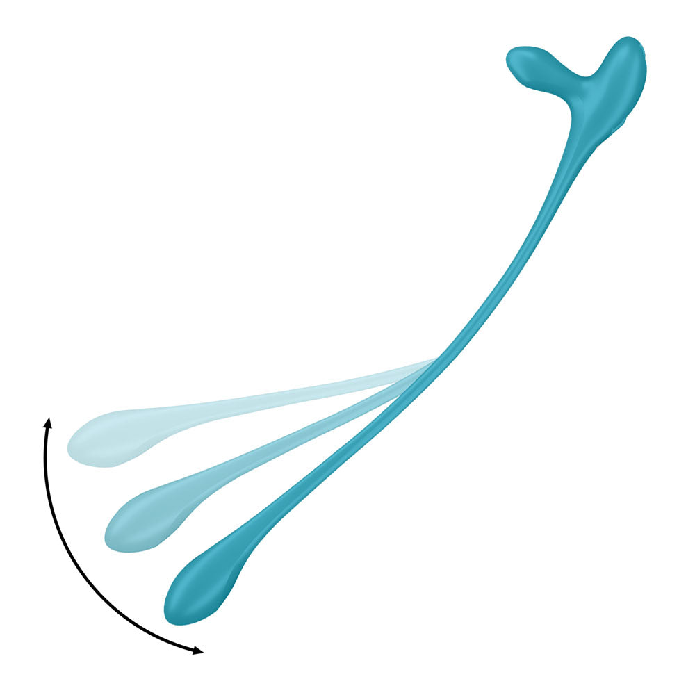 Satisfyer Plug & Play 1 – Multi-Use Vibrator Anal Plug and Cock Ring