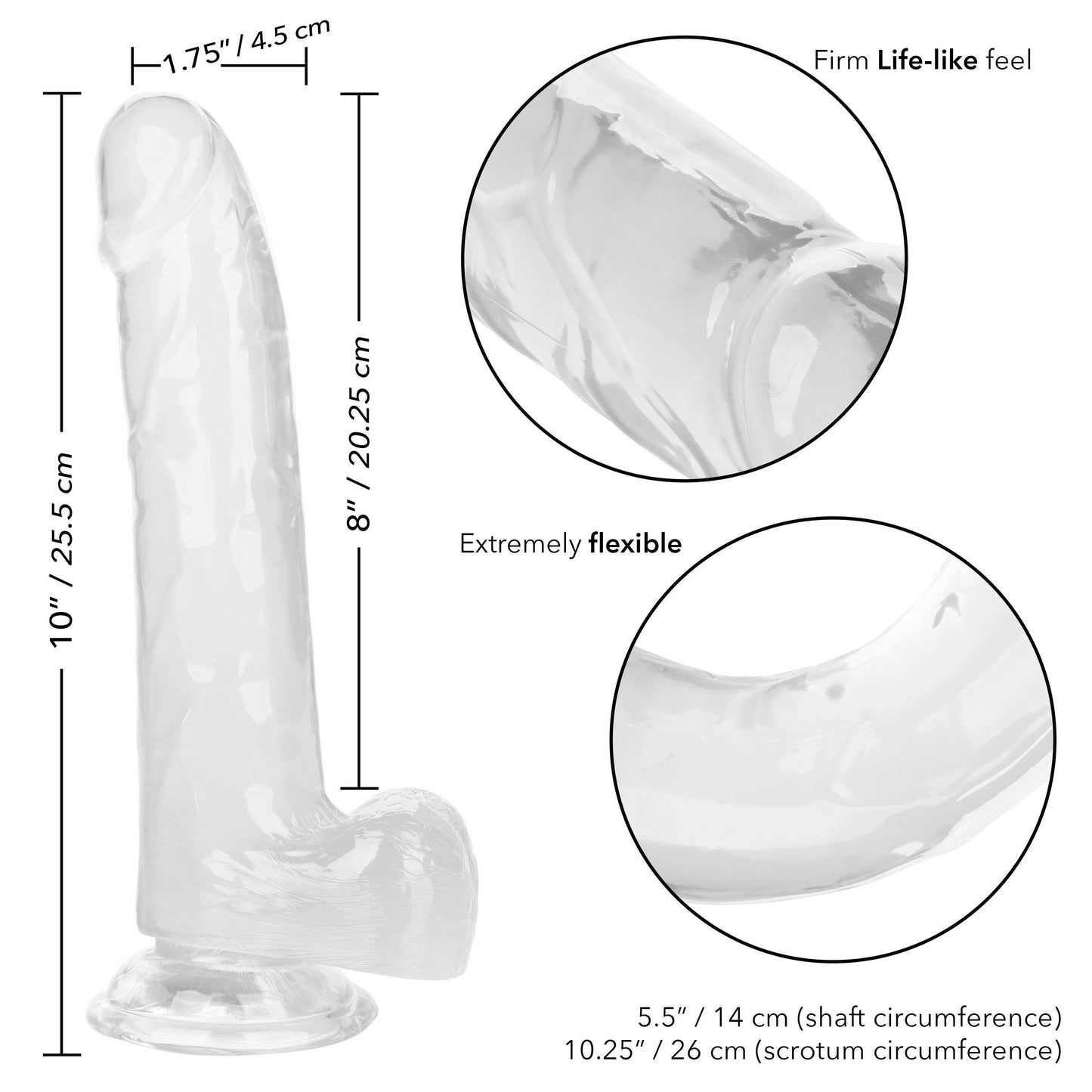 Size Queen 8 Inch Realistic Dong in Ivory