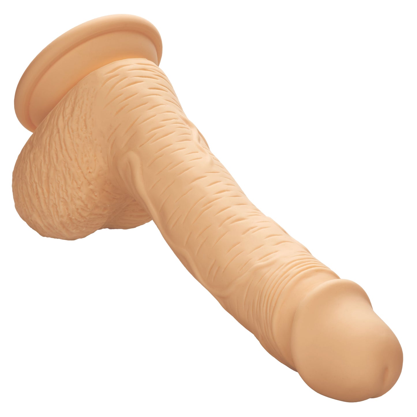 Dual Density Silicone Studs 6.25 Inch / 16 cm Ivory Realistic Flexible Design with Suction Cup Base