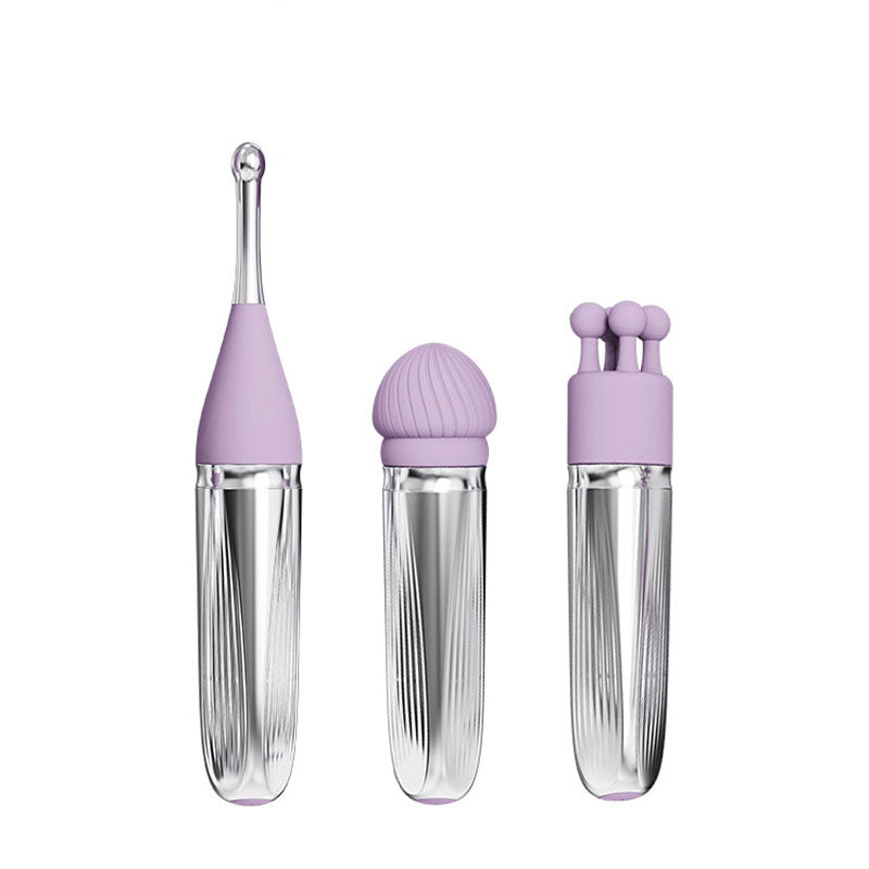 Adam & Eve Sweet Dreams Massager Kit 8 Tips Lavender Rechargeable