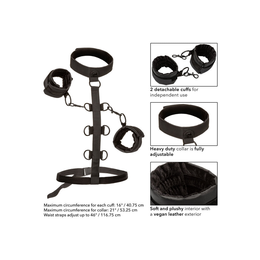 Boundless Collar Body Restraint – Adjustable Body Restraint