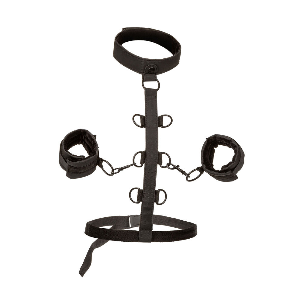 Boundless Collar Body Restraint – Adjustable Body Restraint