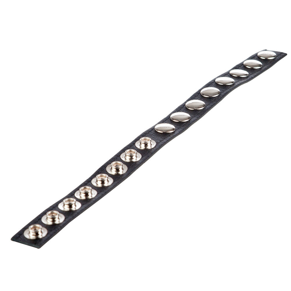 Colt 8 Snap Fastener Leather Strap – Luxury Leather Bondage Strap