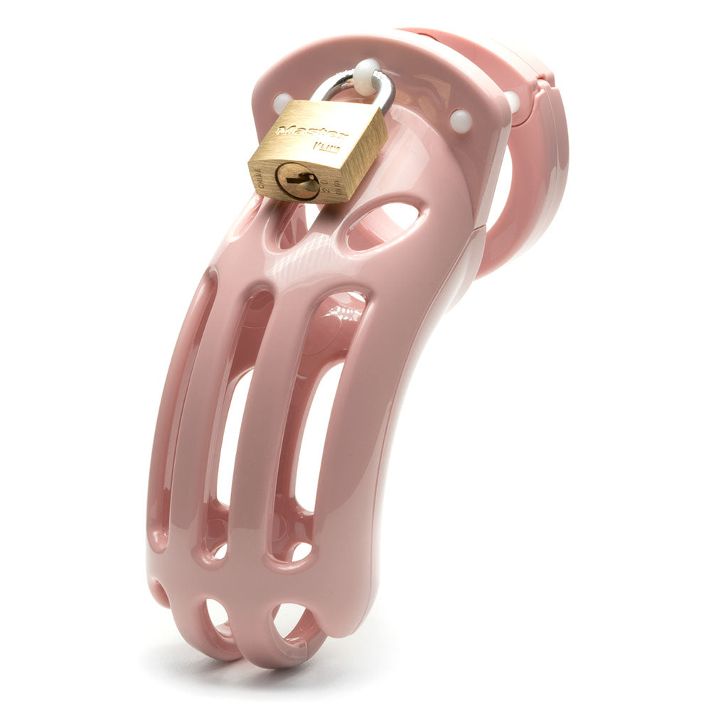 Curve Chastity Cock Cage Kit