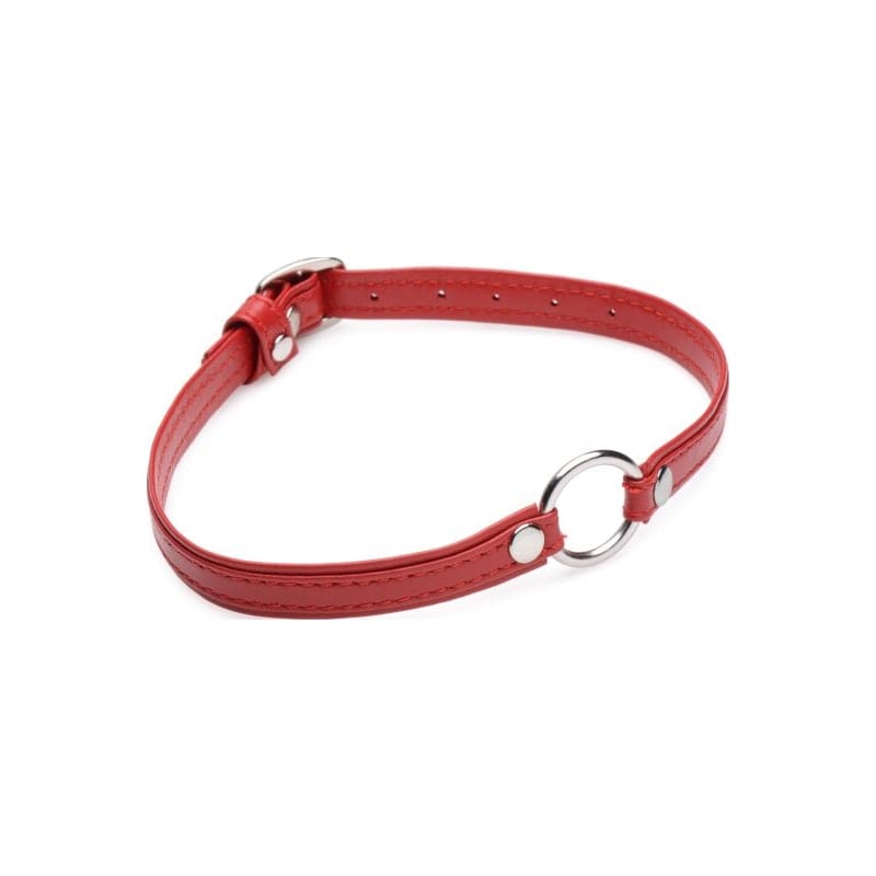 Fiery Pet Leather Choker with Silver Ring in Red