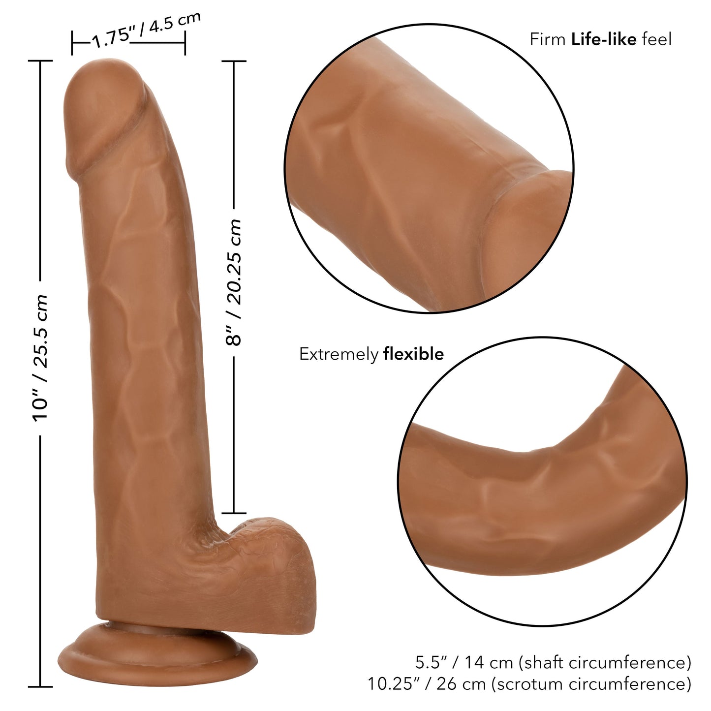 Size Queen 8 Inch Realistic Dong in Ivory