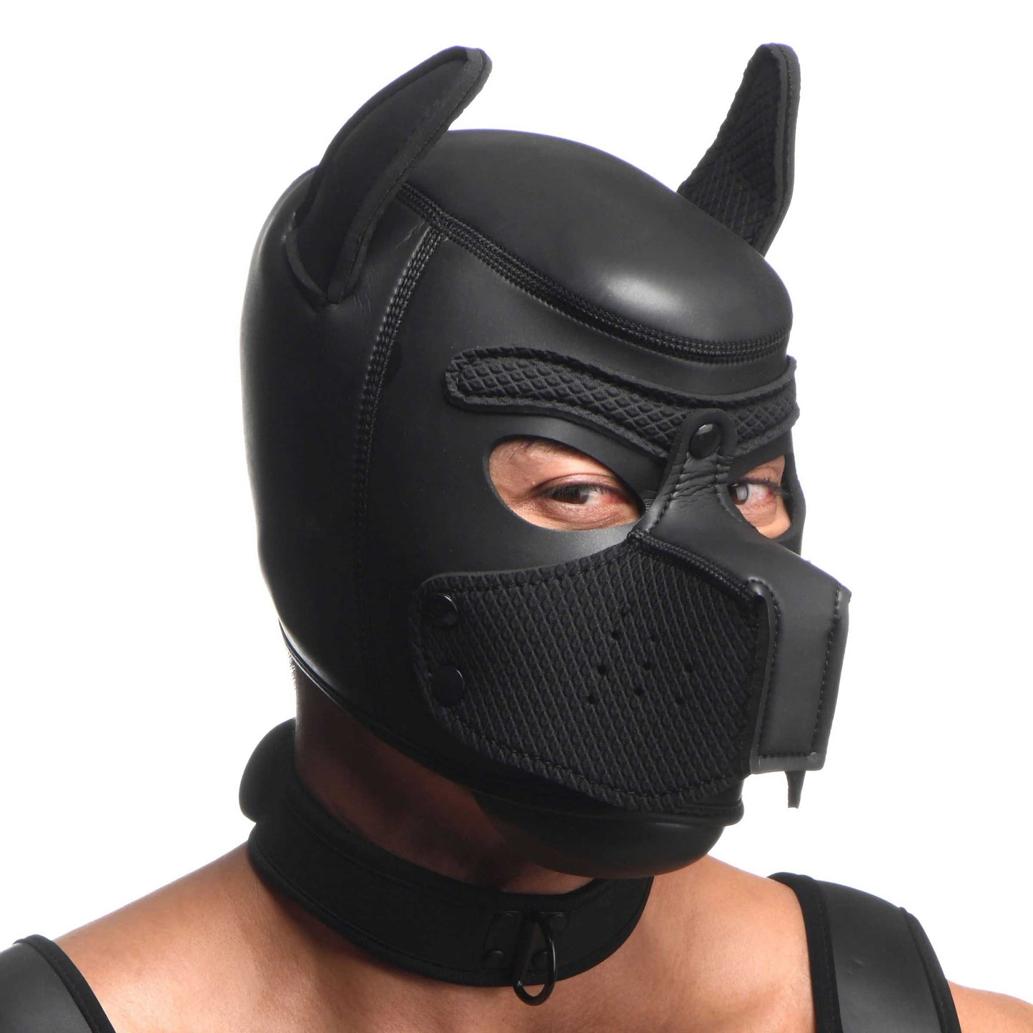 Master Series Full Pup Arsenal Set Black Neoprene Puppy Hood Chest Harness Collar Leash and Arm Bands