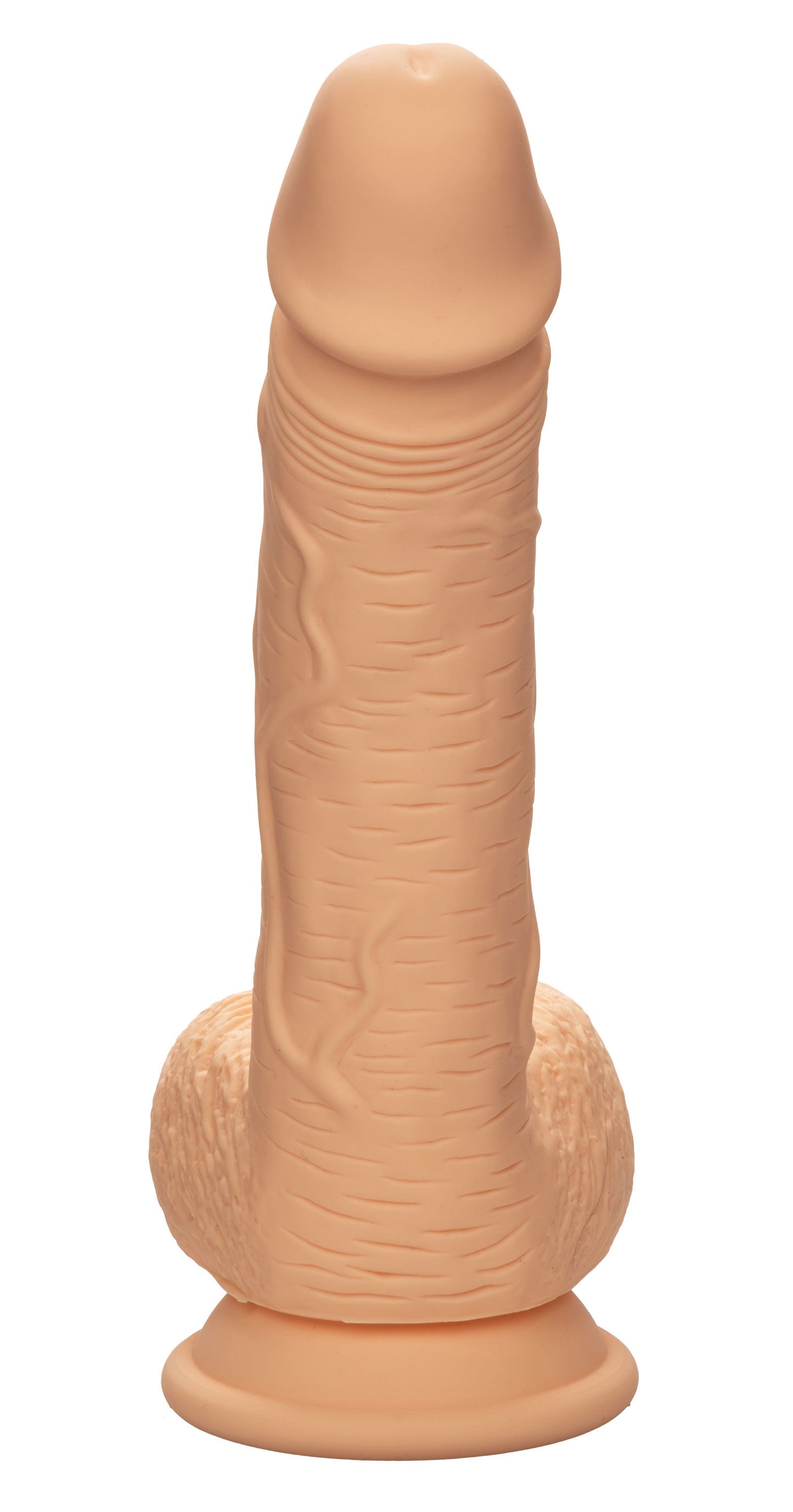 Dual Density Silicone Studs 6.25 Inch / 16 cm Ivory Realistic Flexible Design with Suction Cup Base