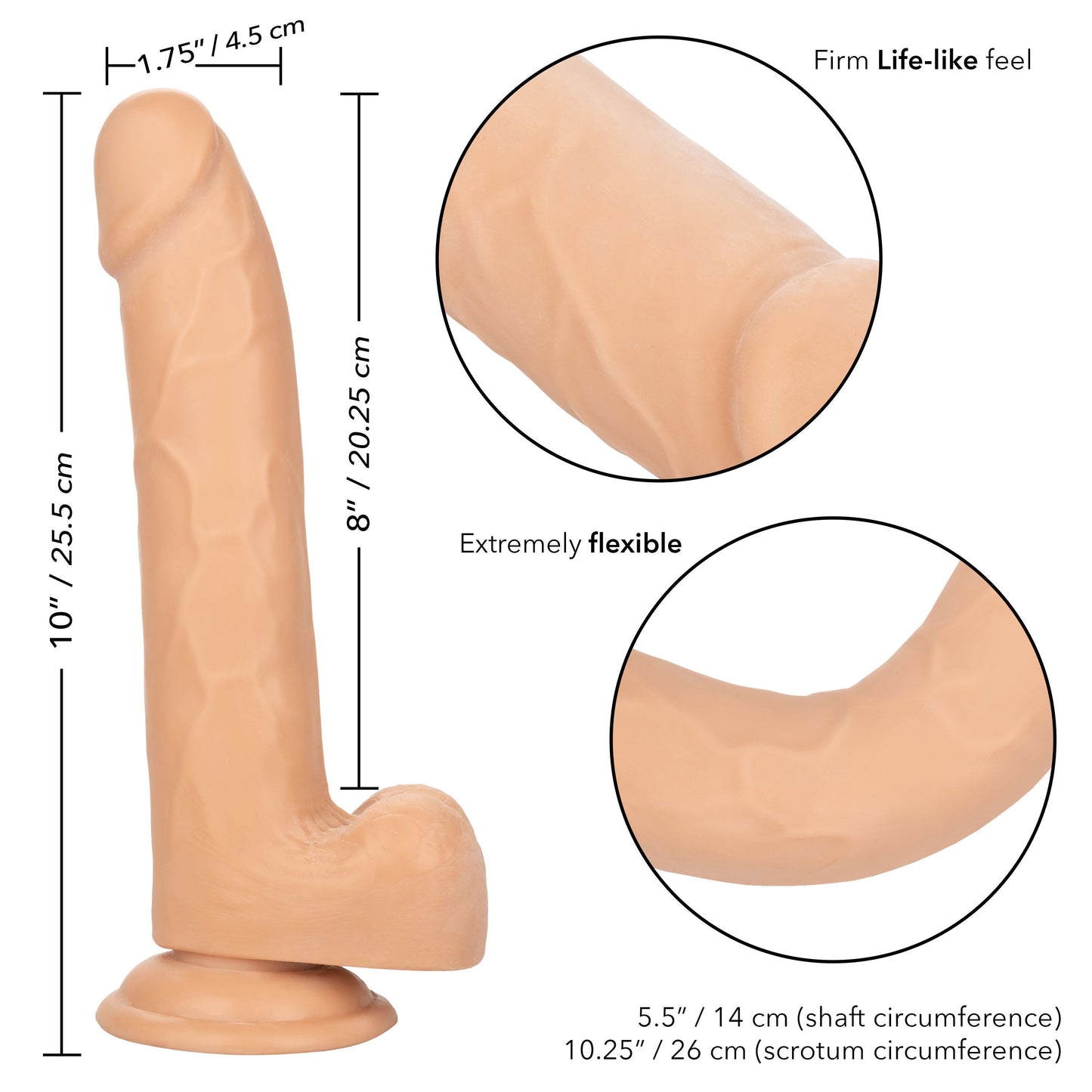 Size Queen 8 Inch Realistic Dong in Ivory