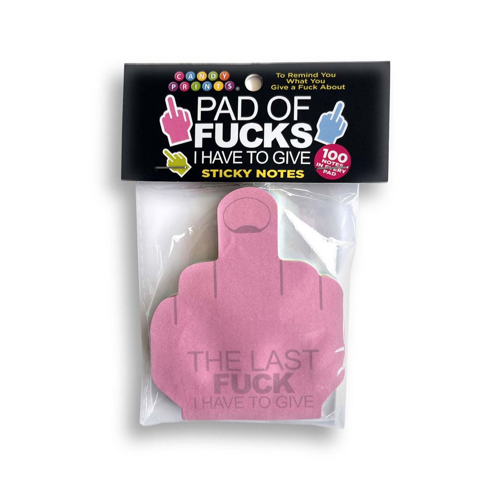 Last Fuck I Have To Give Sticky Notes Multi Colored Novelty Sticky Notes 100 Pack