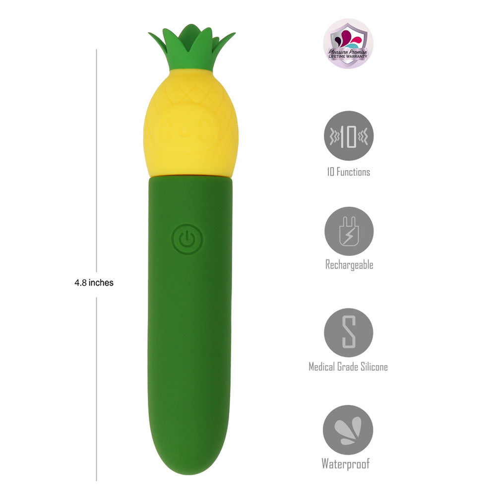 Maia Pina – USB Rechargeable Splashproof 11 cm Bullet Vibrator