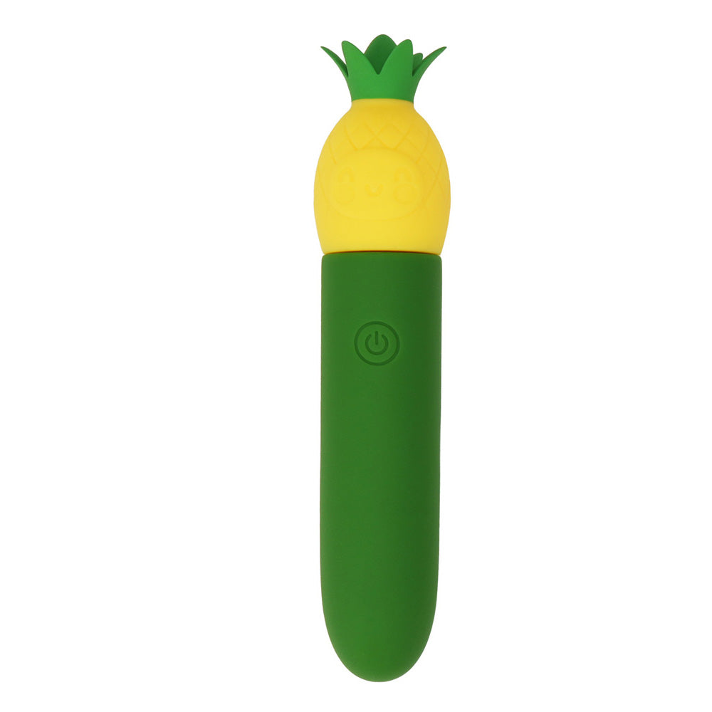 Maia Pina – USB Rechargeable Splashproof 11 cm Bullet Vibrator