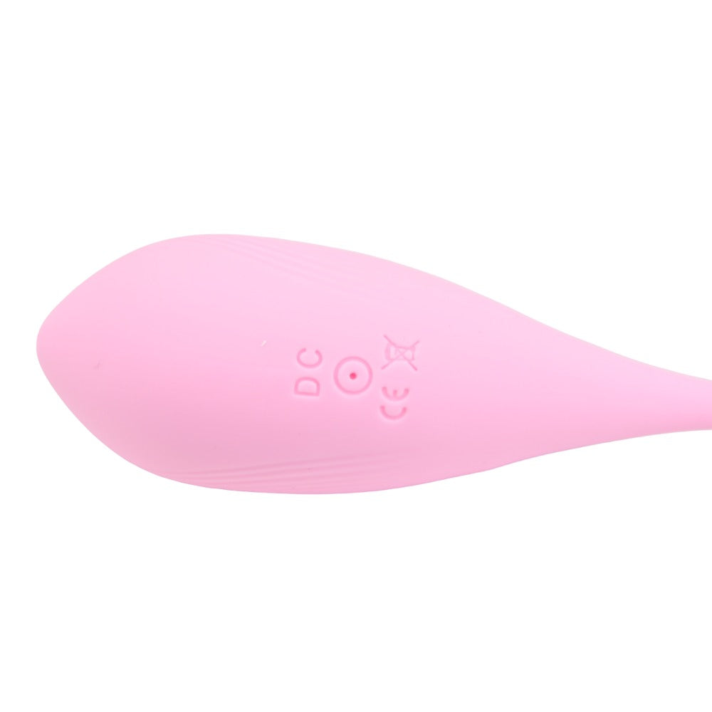 Loving Joy Remote Controlled Vibrating Egg – Waterproof Rechargeable Silicone Vibrator